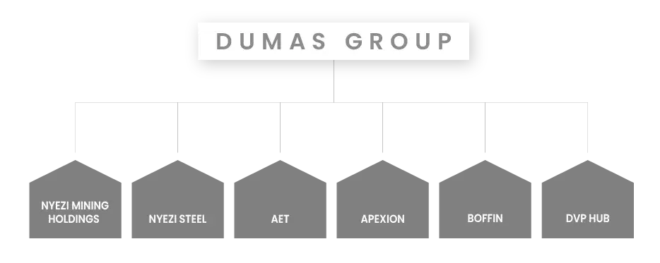 Dumas Group Company Organogram